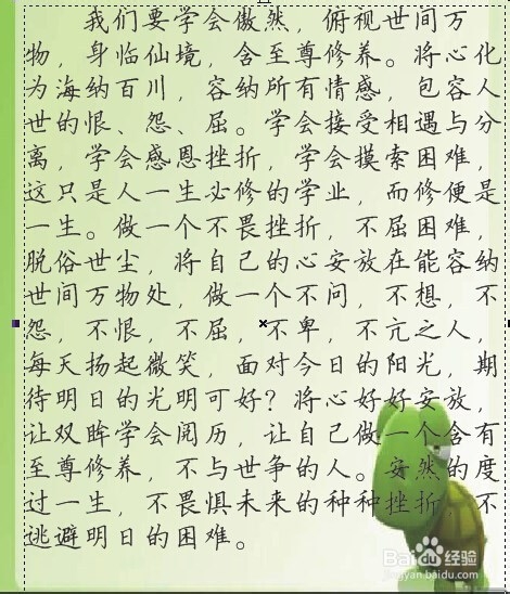 怎样制作特效书刊页面？