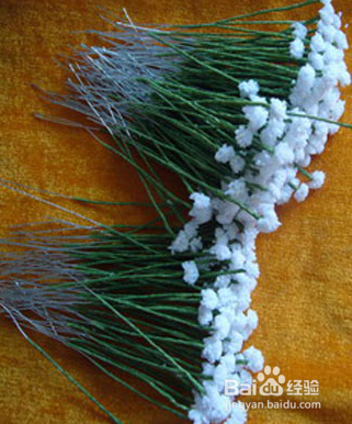 丝网花满天星制作方法