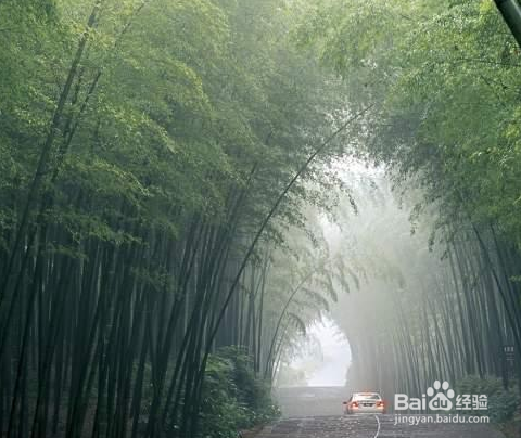 如何向女孩子表白