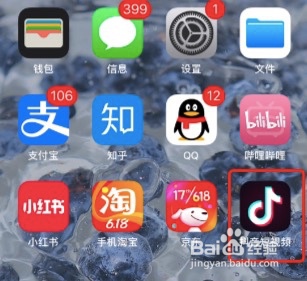 抖音如何关闭私信展示聊天表情包功能