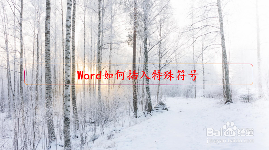 Word如何插入特殊符号