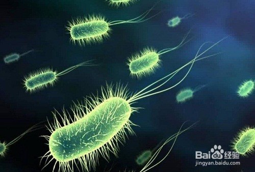 亲测实用的去处狐臭的方法，经济有效！！