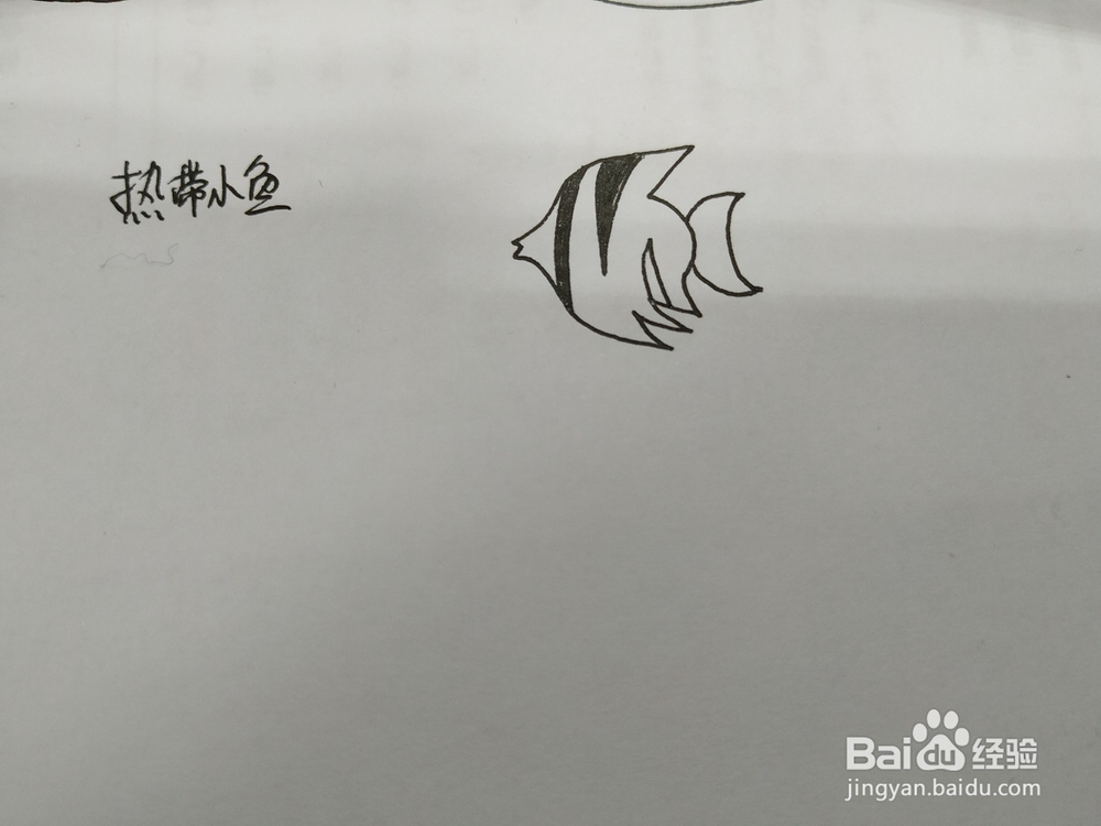 热带小鱼简笔画怎么画，怎么画热带鱼简笔画