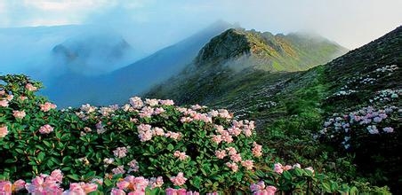 大理古城旅行攻略