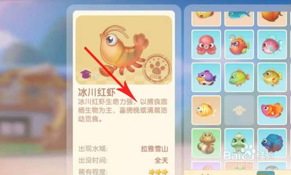 摩尔庄园冰川红虾在哪钓