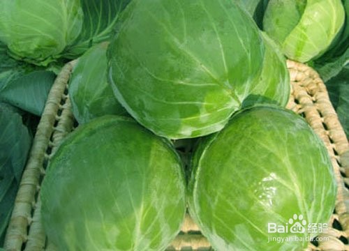 最养胃的十种食物