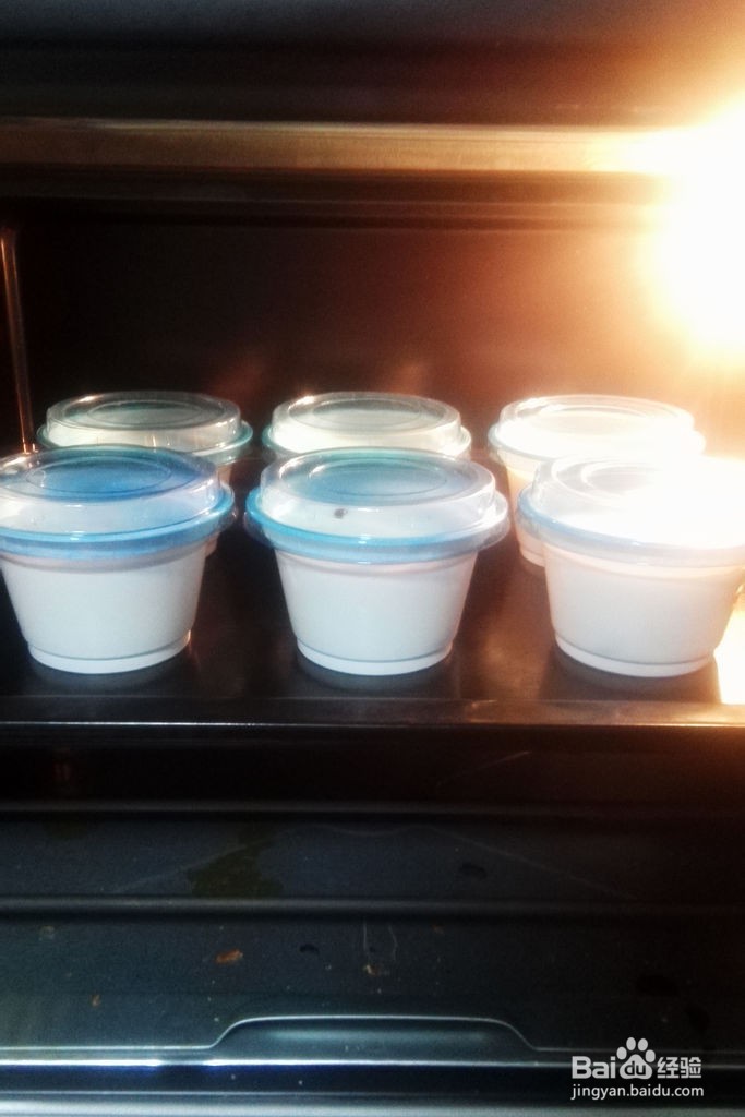 蔓越莓老酸奶的做法