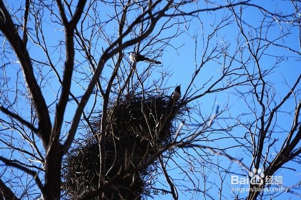 周末父母,不用再担心没地方带孩子去了!