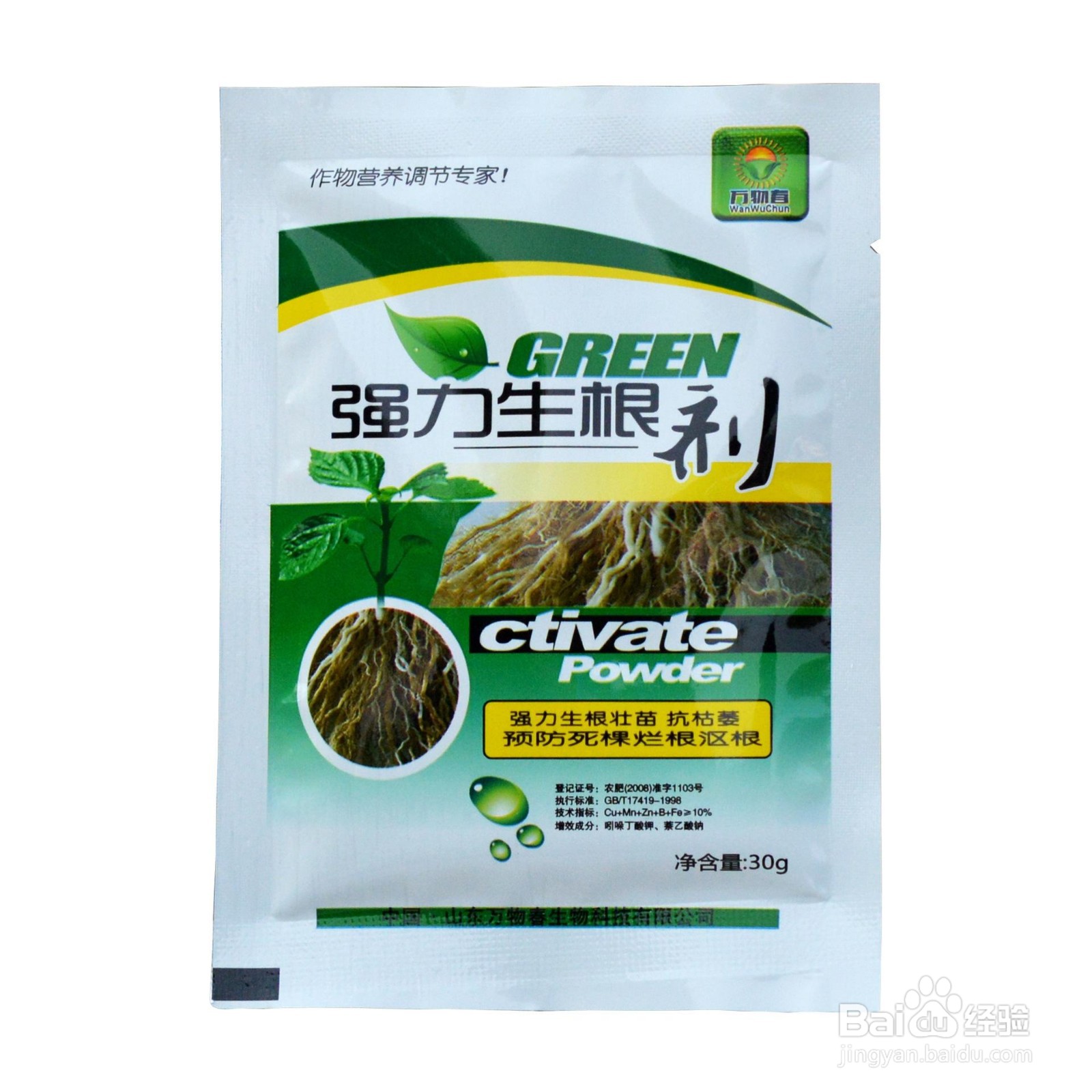 月季插条生根新方法