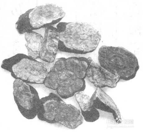 何首乌养生的几个注意事项?