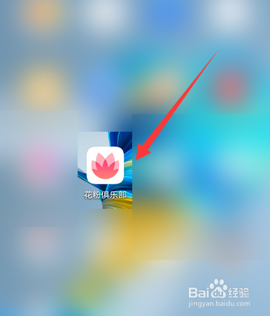 华为手机花粉俱乐部在哪