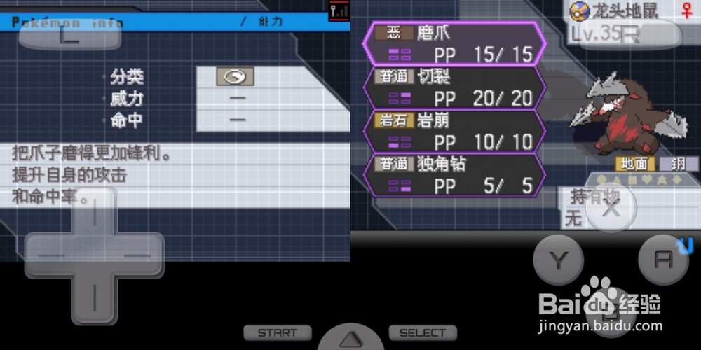 口袋妖怪黑2龙头地鼠如何获得