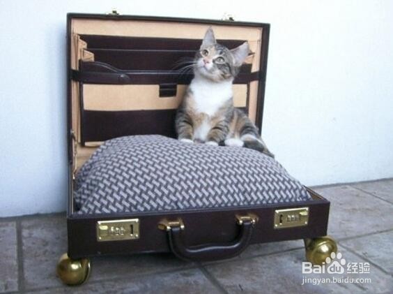 生活废旧物品DIY 满满文化气息