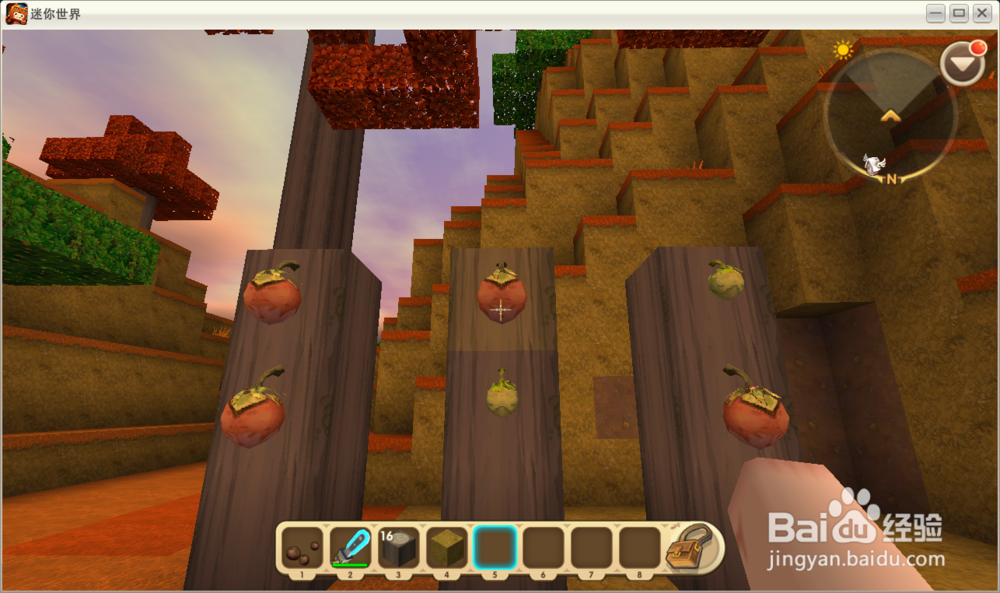 迷你世界球球豆怎么种