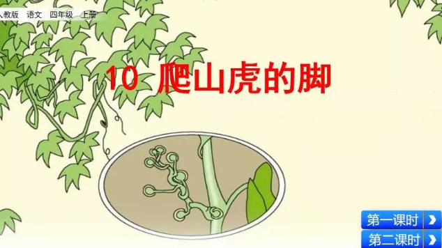 四年级上册语文爬山虎的脚课文中可以提的问题有