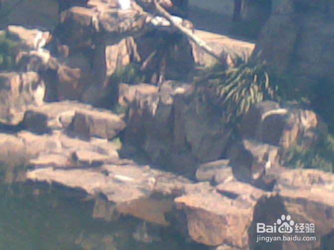 苏州网师园一游