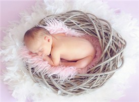 生命阳光：适合服用牛初乳的人群