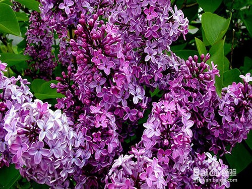 夏天不注意肠胃秋后来算账 秋后肠胃及时补