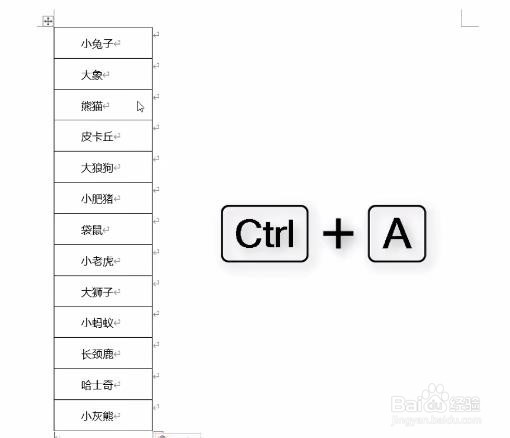 EXCEL如何给姓名或文字添加拼音
