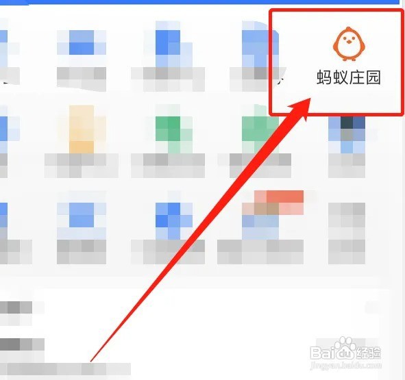 跟鸡聊天怎么聊