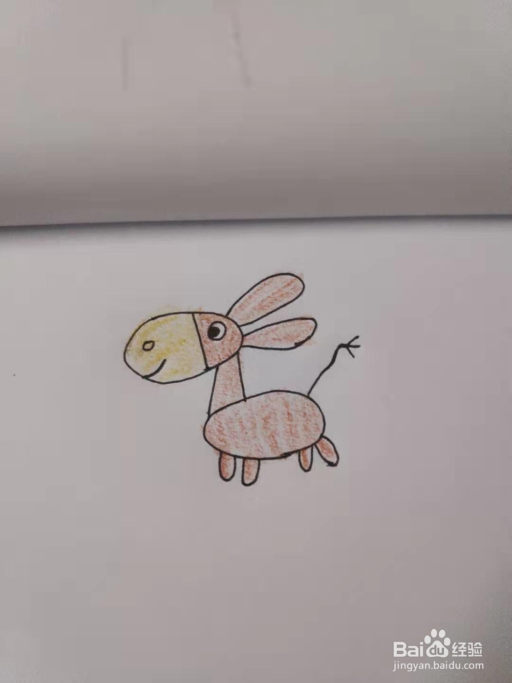 小毛驴简笔画