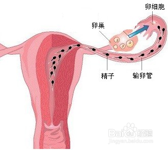 科学生儿子的秘诀