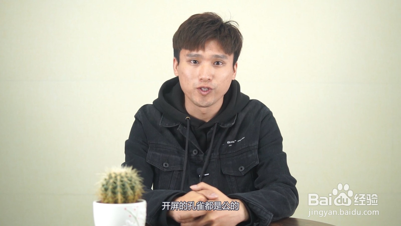 孔雀开屏是公的还是母的