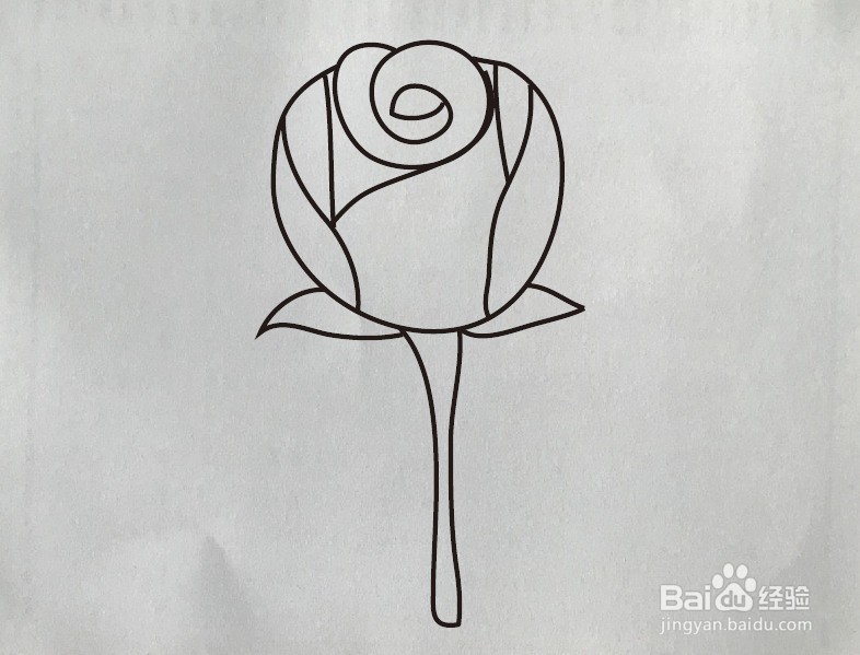 如何画玫瑰花简笔画