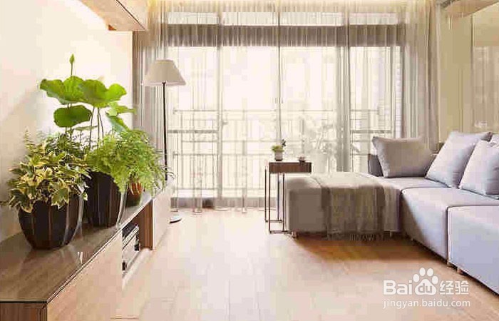 冬天室内外温差大家里地板湿漉漉怎么办