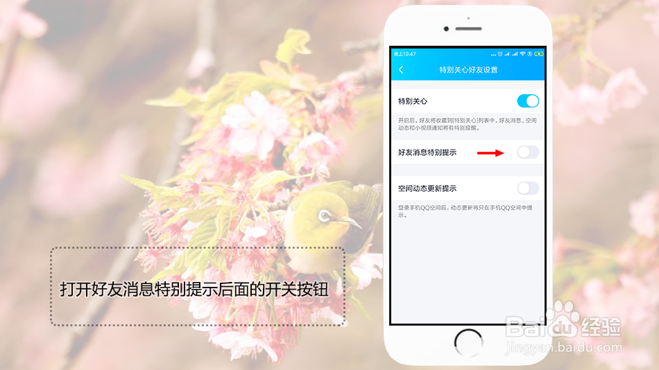 qq怎么设置特别关心个性提示音