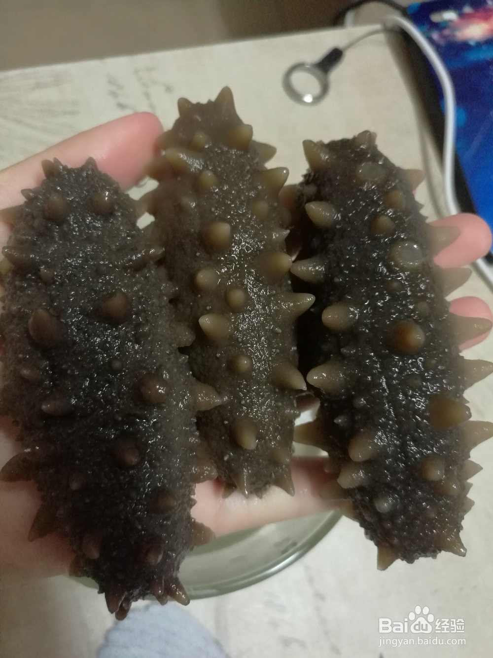 怎么样泡发出最好的海参