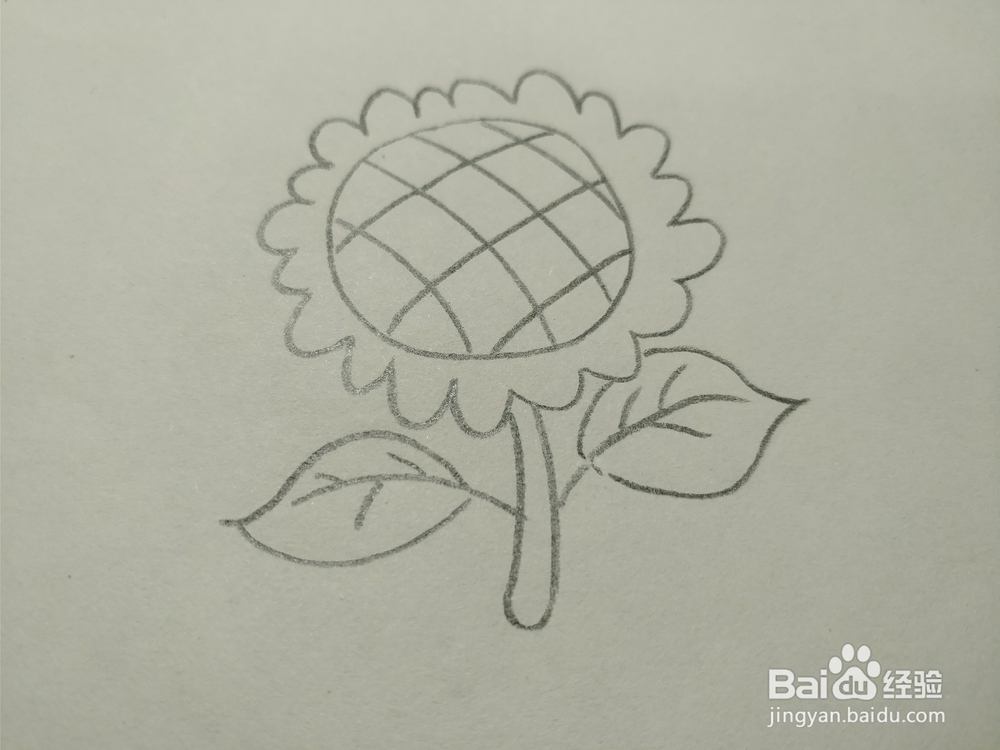 简笔画画卡通太阳花