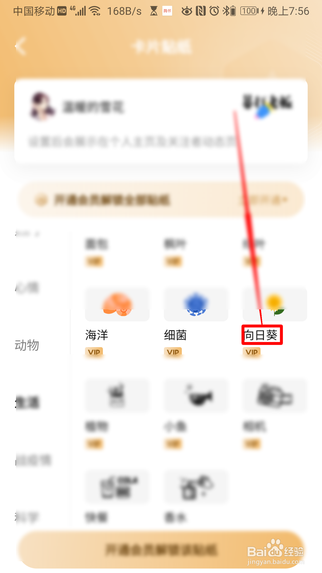 知乎怎么设置向日葵卡片贴纸