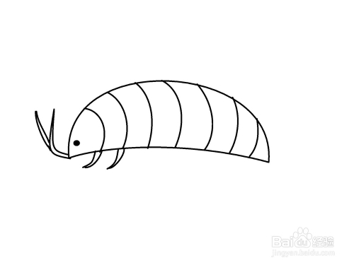 教宝宝画潮虫的方法