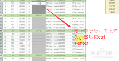 如何在Excel中分批快速填充数据