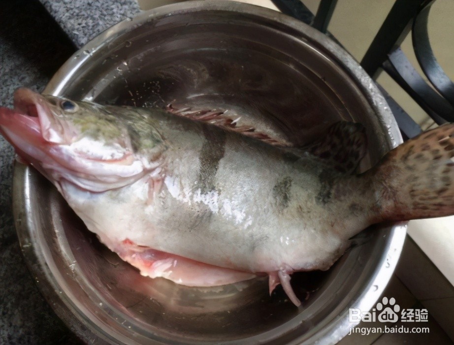 家庭自制清蒸桂鱼