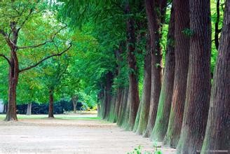 如何改变被琐屑干扰的生活