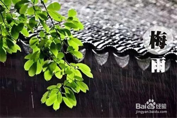 <b>梅雨季节我们可以采用什么方法驱除湿气呢</b>