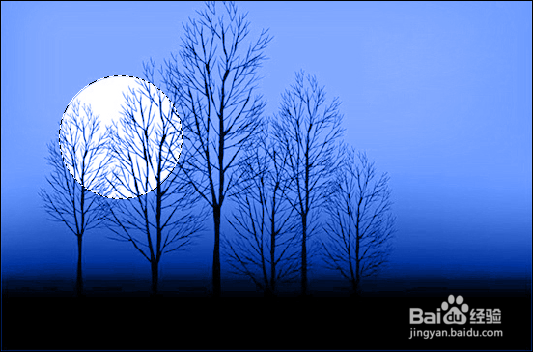 如何运用Photoshop调整图像色彩