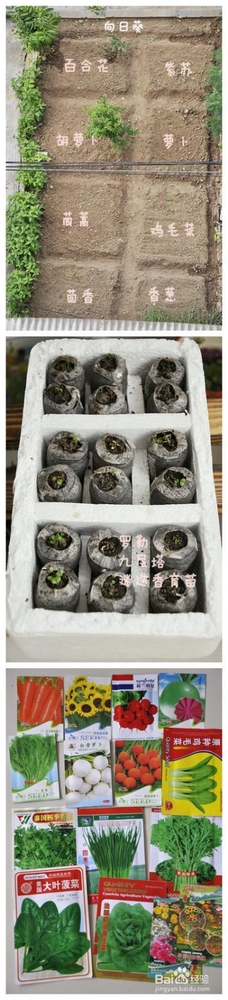 【孕期食谱】番茄烧排骨做法,秘制番茄烧排骨