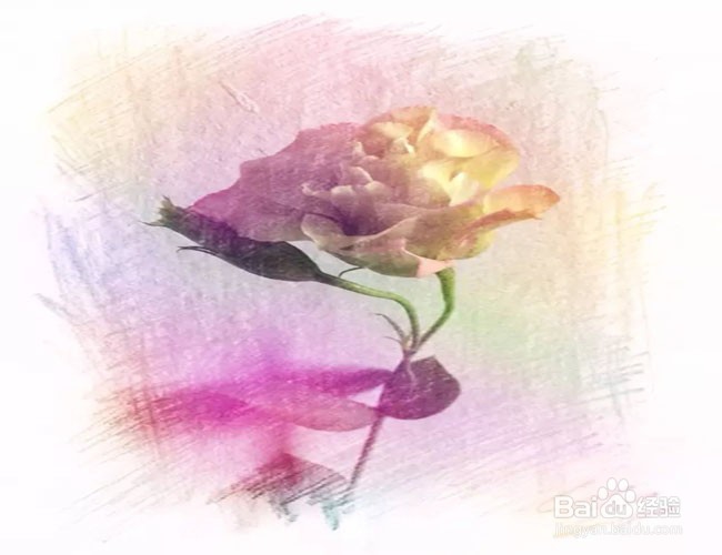 想开始读书,怎么读呢