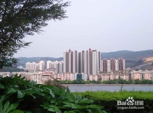 项目建设的做法