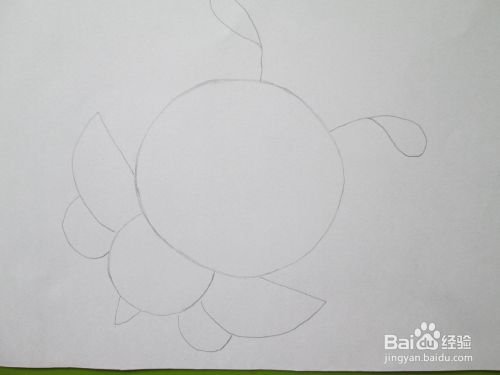 儿童学画小动物：[8]蜜蜂