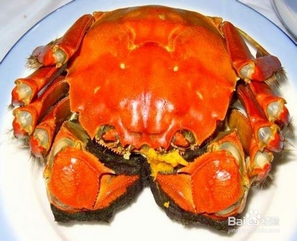 蟹有什么营养价值?