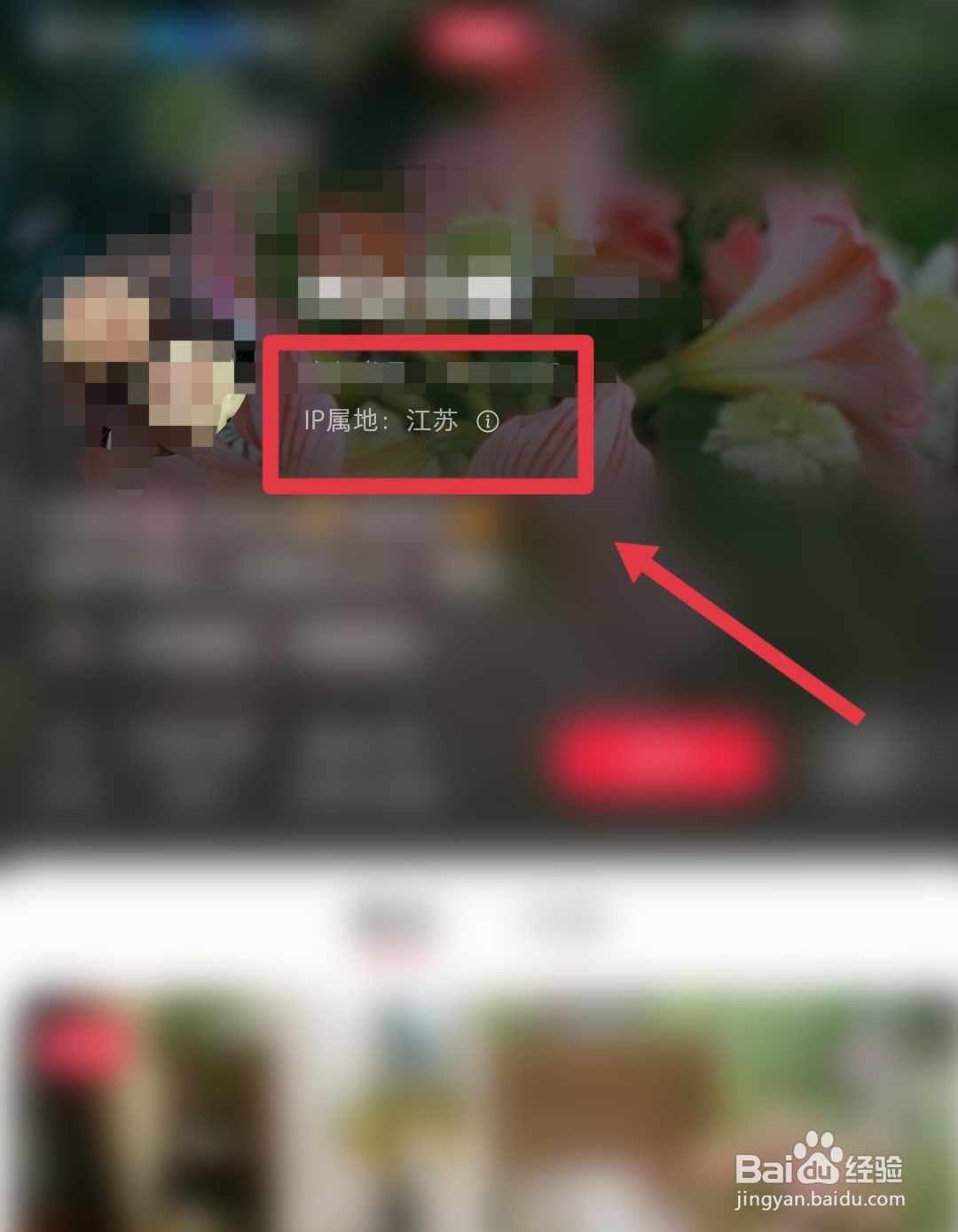 小红书ip地址在哪里查看