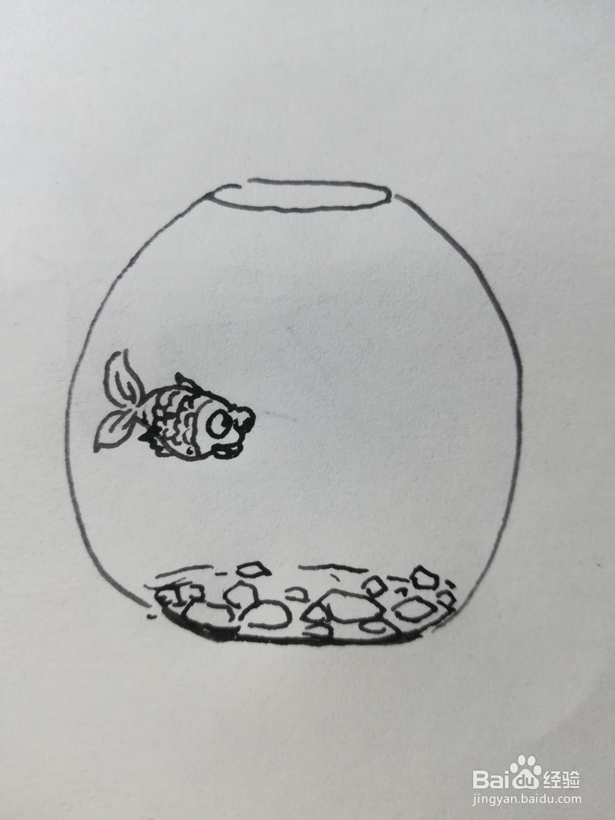 怎么画鱼缸简笔画