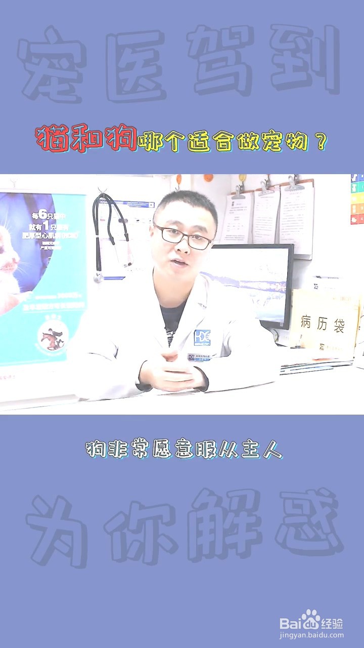 如何判定猫和狗到底哪个适合的宠物?