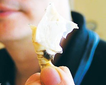 怎样吃大闸蟹