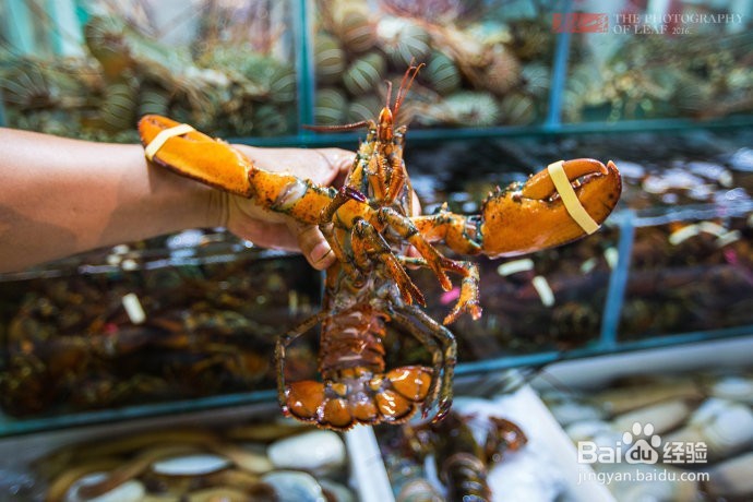 2016年度美食盛宴