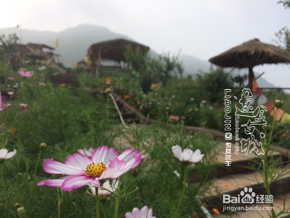 辽金古城--再现锦州辽金时期尘封的记忆